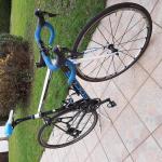 Vends vlo Focus Izalco max 2016 T54