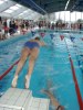 Meeting natation Valence - 6 fvrier 2005