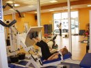 Gymgi Club Rillieux et Fontanel