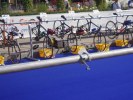 lausanne-triathlon-mondes-07.jpg