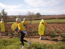 marathon-beaujolais-chenille-35.JPG