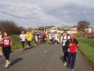 marathon-beaujolais-chenille-42.JPG