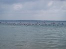 triathlon-troyes-08.JPG