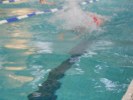 meeting-natation-privas-49.JPG