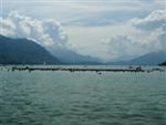 annecy-150.jpg