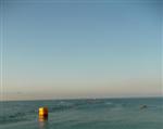 nice-10.jpg