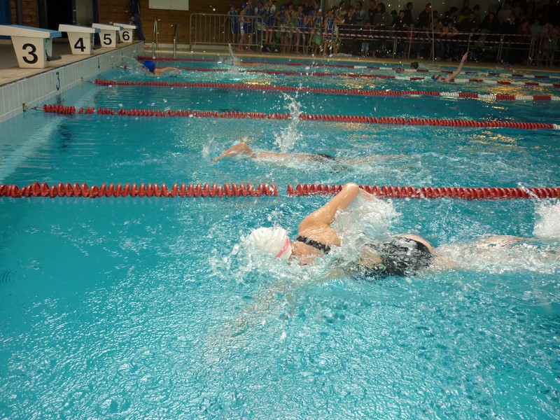 aquathlon-2011-1001.jpg