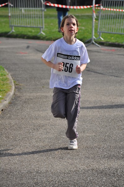aquathlon-2011-890.jpg
