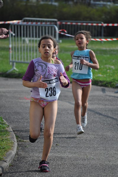 aquathlon-2011-893.jpg