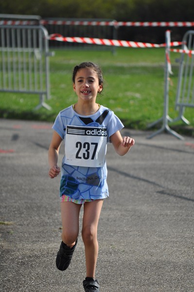 aquathlon-2011-896.jpg
