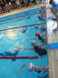 aquathlon-2011-.jpg