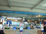 aquathlon-2011-.jpg