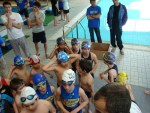 aquathlon-2011-.jpg