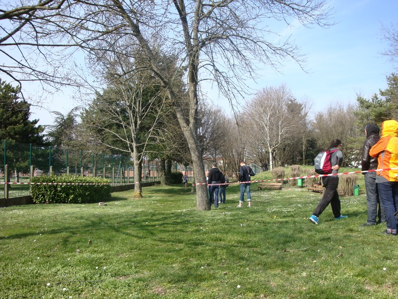 aquathlon-2011-75.jpg