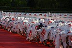 vichy-13.jpg