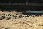 vichy-54.jpg
