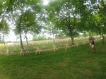 bourg-96.jpg