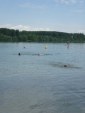journee-anse-15-06-2013-315.jpg