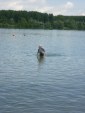 journee-anse-15-06-2013-374.jpg