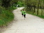 sttr-392.jpg
