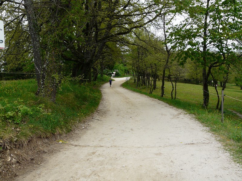 sttr-395.jpg