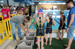 aquathlon-rillieux-2017-jeunes-541.jpg