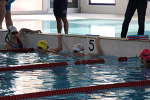 aquathlon-rillieux-2017-536.jpg
