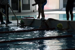 aquathlon-rillieux-2017-537.jpg