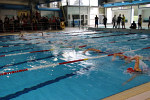 aquathlon-rillieux-2017-539.jpg
