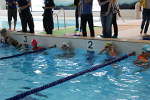aquathlon-rillieux-2017-584.jpg