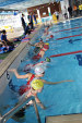 aquathlon-rillieux-2017-631.jpg
