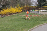 aquathlon-rillieux-2017-780.jpg