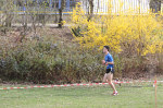 aquathlon-rillieux-2017-935.jpg
