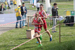 aquathlon-rillieux-2017-941.jpg